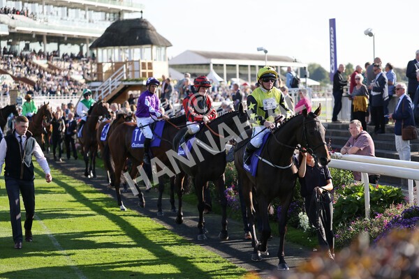 yr08102021r3-7 - Race 3 3.15pm Download The Casumo App Today Handicap