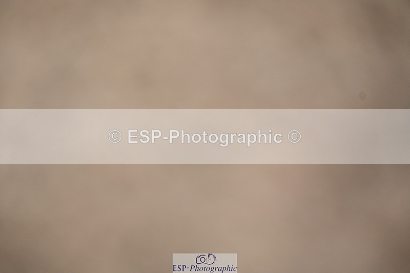 240323A-093214-01226 - DR Intro B