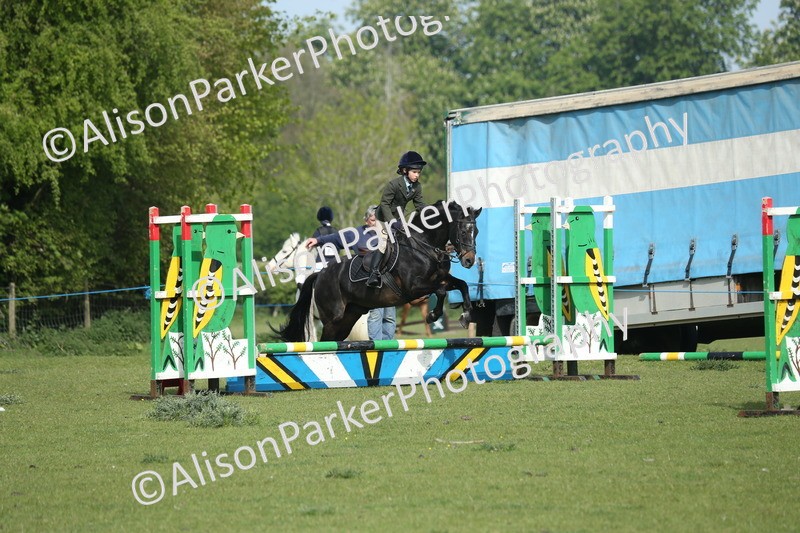 20260426-0204 - Class 13 - Rookie Jumping 50cm