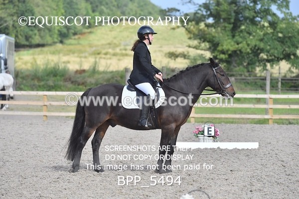 BPP_5494 - INTRO TEST 3