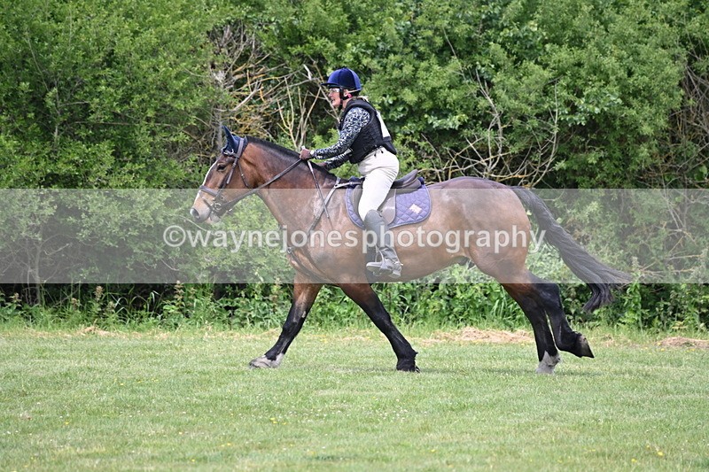 WJ6_3275 - Class 4 60cm