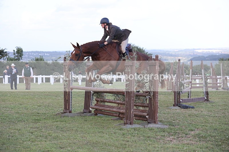 JPP_3665 - Class 24: Open Working Hunter