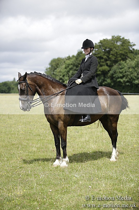 BVR160717-1985 - Side Saddle Classes 16/07/17