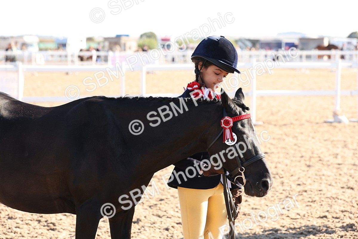 SBM_11676 - Class 203 - Young Handler 11 to 16 years