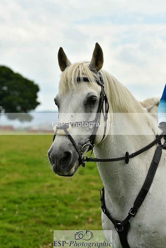 230817-153917-01557 - Theo's 2nd Group - XC