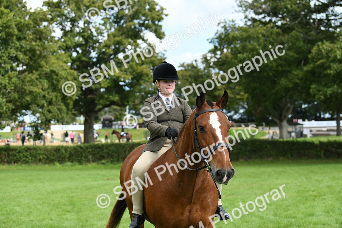 SBM_46878 - S12 - Family Horse & Pony