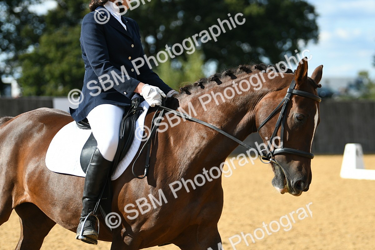 SBM_27072 - D16 - Small Tour Championship - Novice 28