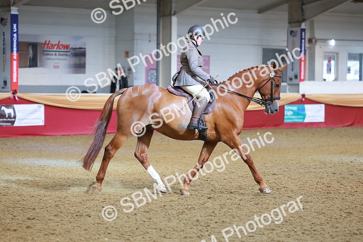 SBM_09492 - Class 102 - HOYS Veteran Qualifier - Ridden Veteran