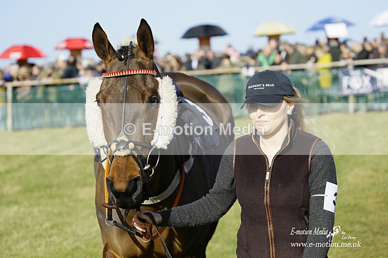 PtP 300122 66 - South Dorset Hunt - Point-to-Point Races 30/01/2022