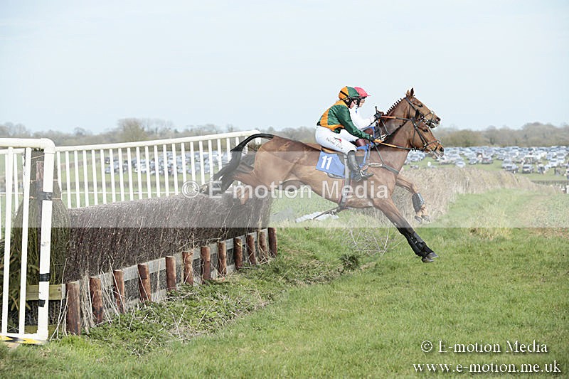 PtP 230319 340 - VWH Hunt Siddington Point-to-Point Racing 23/03/19