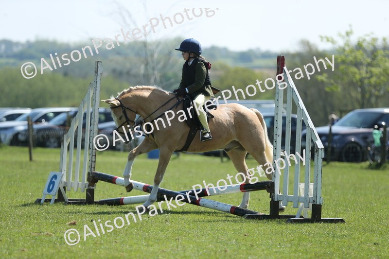 20250427-1958 - Class 2 - Mini Jumping 30cm