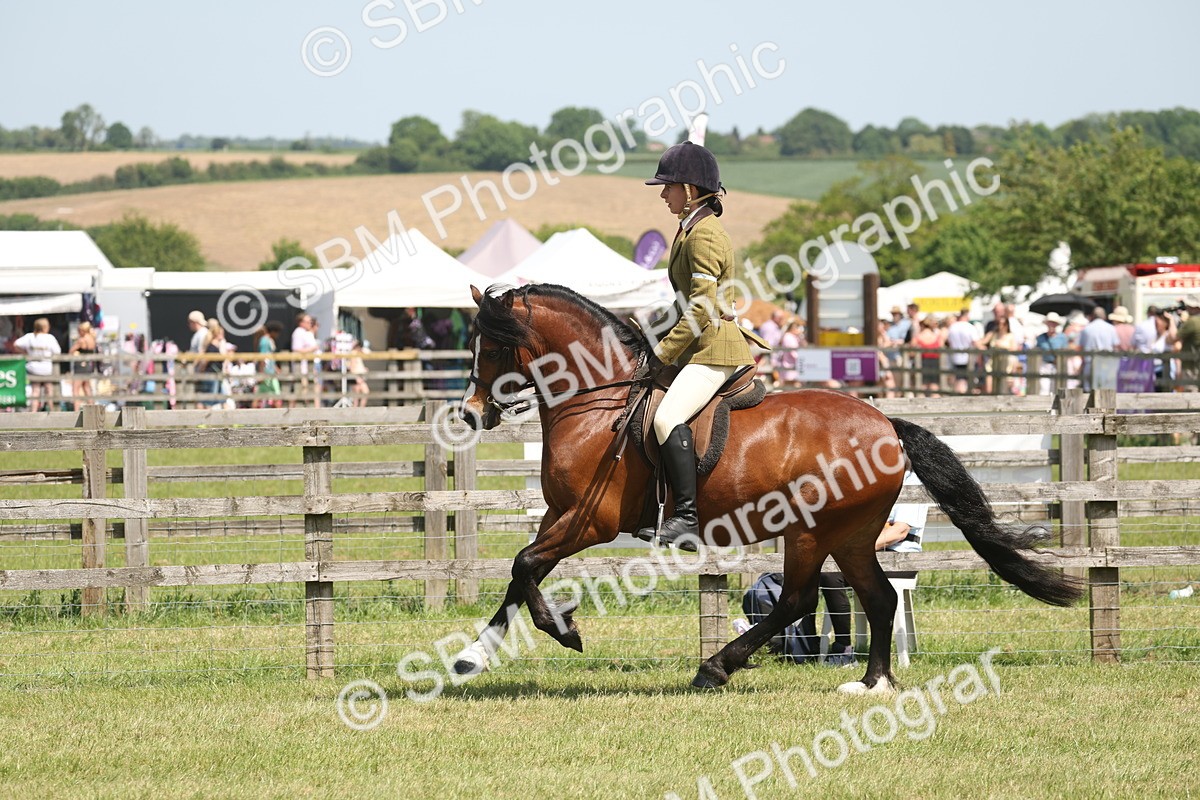 SBM_06948 - Class 26-30 - Mountain and Moorland Ridden