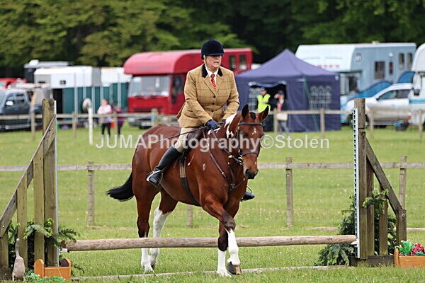 IMG_2797 - Working Hunter
