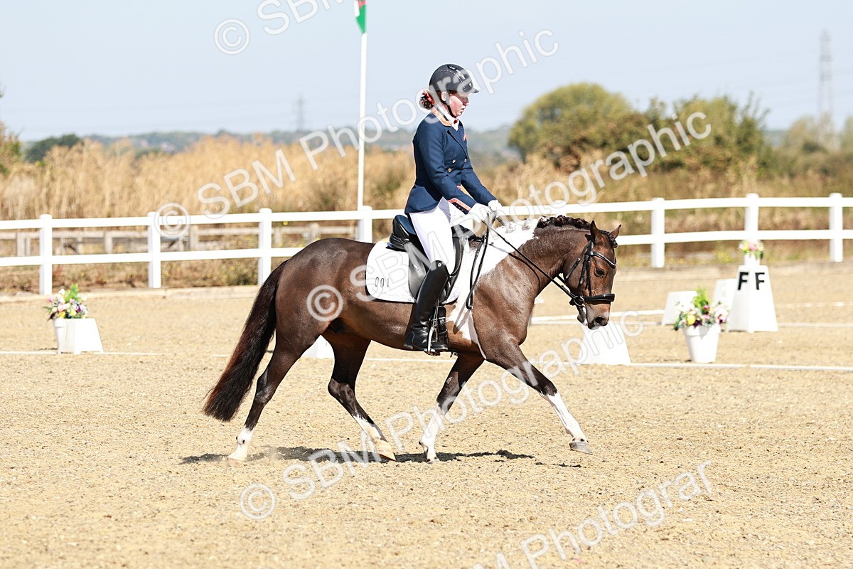 SBM_017051 - Class 10 - N5 Silver 9.33.10.29