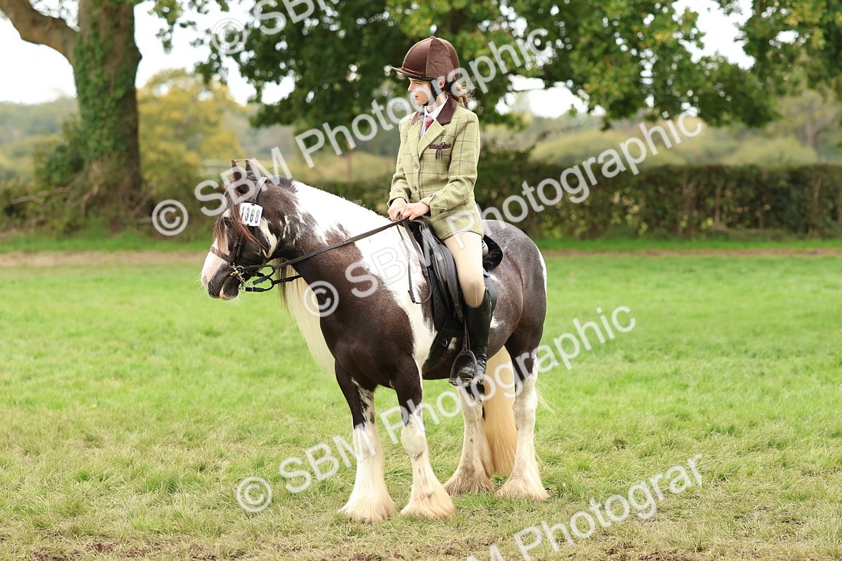 SBM_64652 - S58 - Coloured Pony Ridden