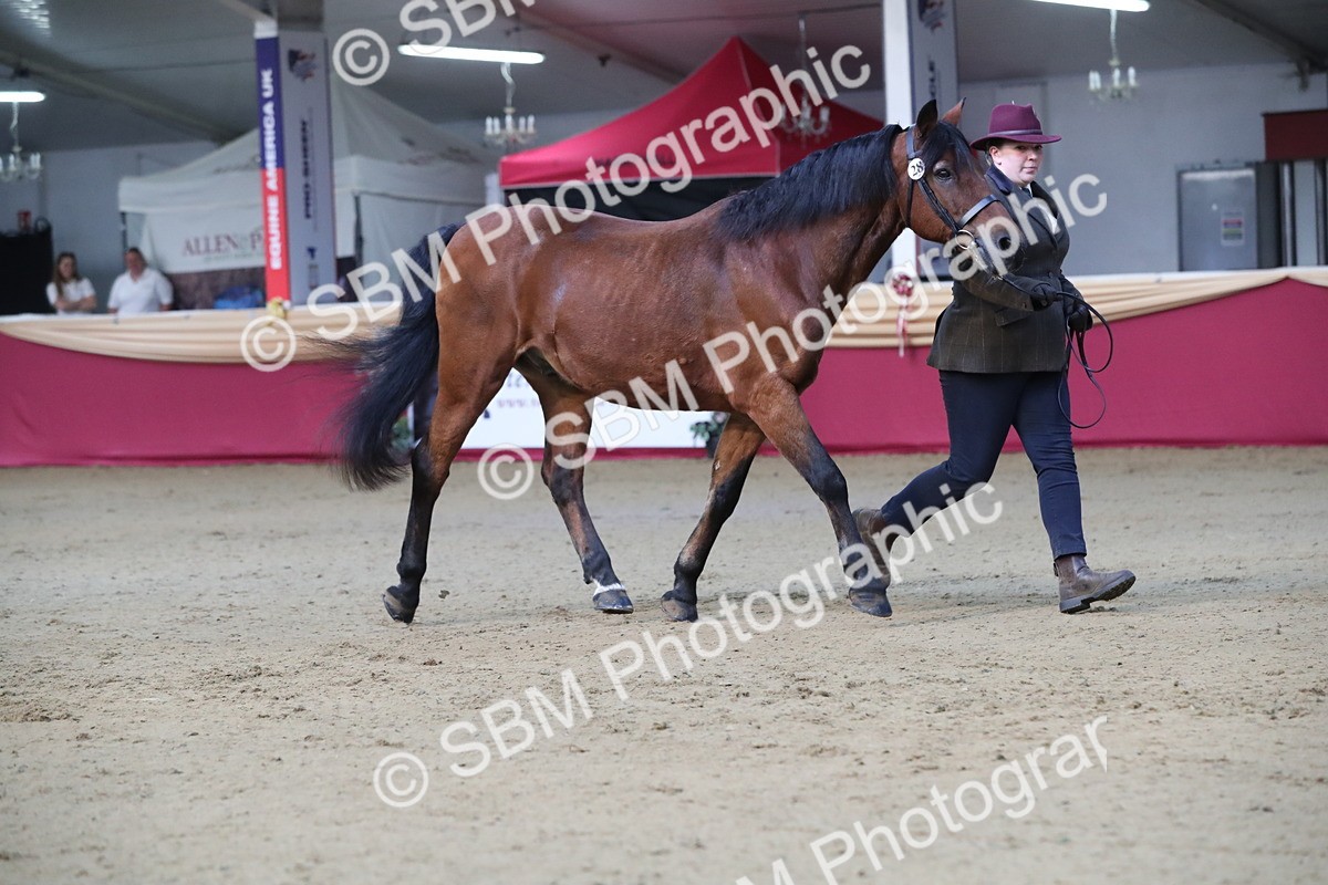 SBM_00306 - Class 1a - Area IH Diamond