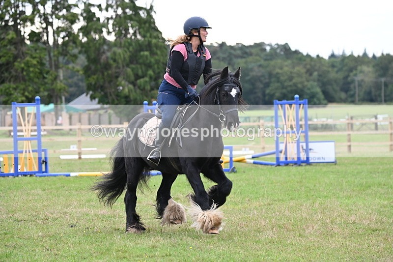 WJ6_0565 - 40cm Time 10:29 to 10:52