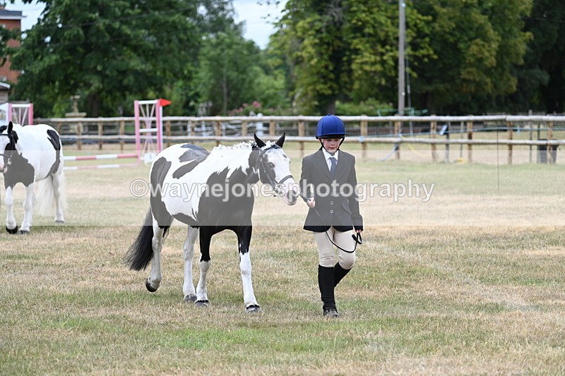WJ7_1454 - Class 4 Prettiest Mare up to 14.2hh in hand