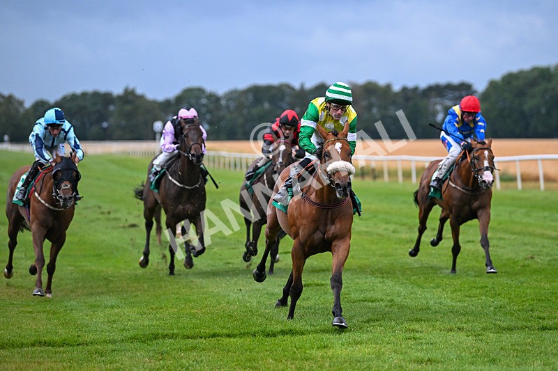 150725-Race 6-Brazilian Belle-7314