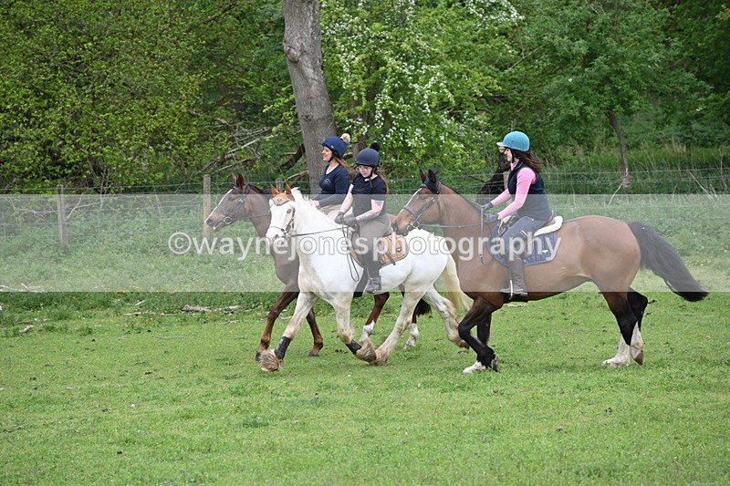 WJ6_3132 - A camera