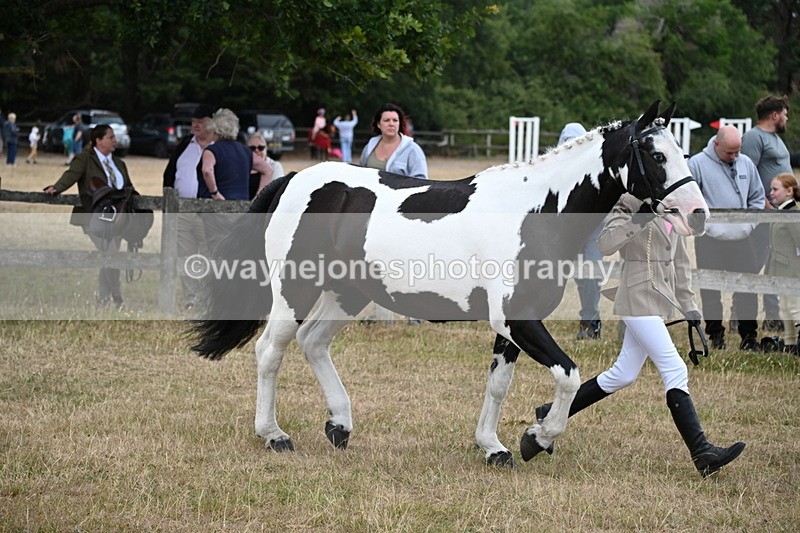 WJ6_8128 - Class 10 Coloured in Hand