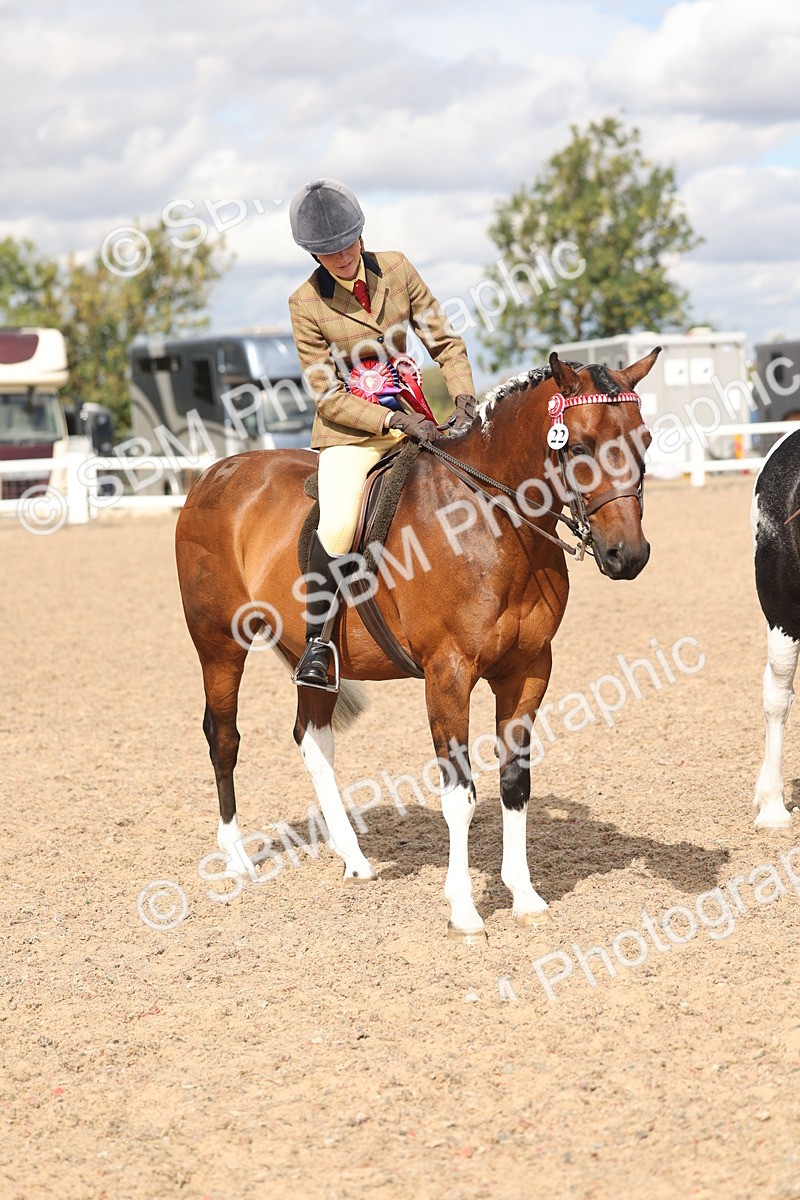 SBM_14679 - Class 307 - Ridden Coloured Pony
