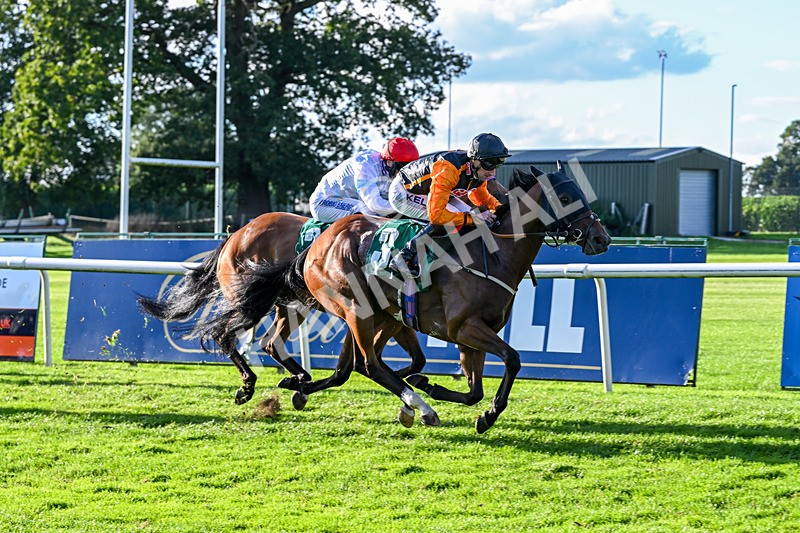 140926-Race 7-Forest Caper-7959 - Race 7 5.21pm Bowel Cancer Screening Programme Saves Lives Handicap