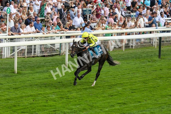 100923-Race 4-Tropical Island-3907 - Race 4 3.15pm Edge Windows Nursery Handicap at York