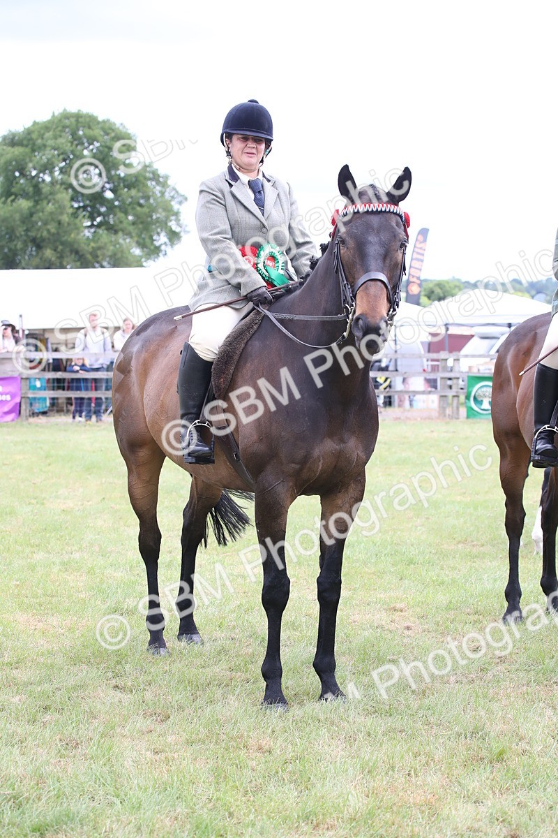 SBM_14246 - Class 113-114 - Retraining of Racehorses Ridden