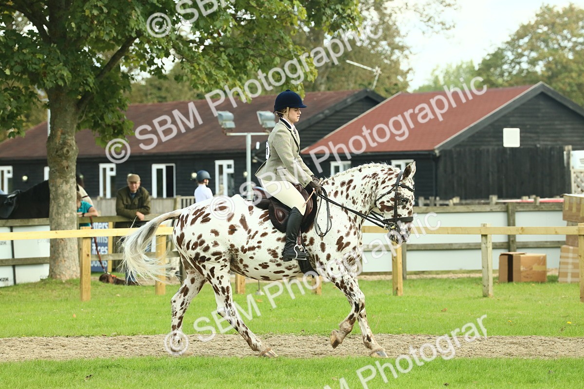 SBM_62462 - S62 - Foreign Breeds Ridden