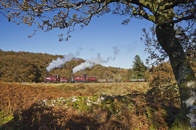 Palmerston and Prince - Trains of Thought