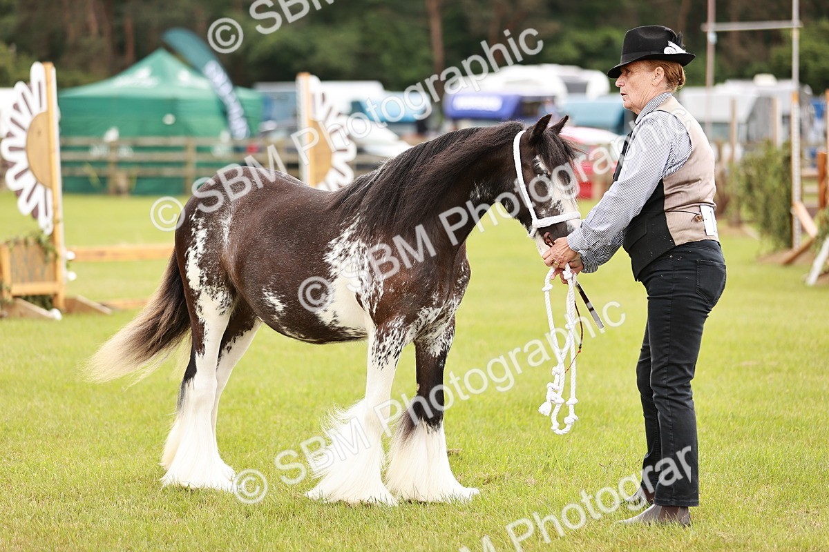 SBM_05968 - Class 39-41 TGCA In Hand and Ridden