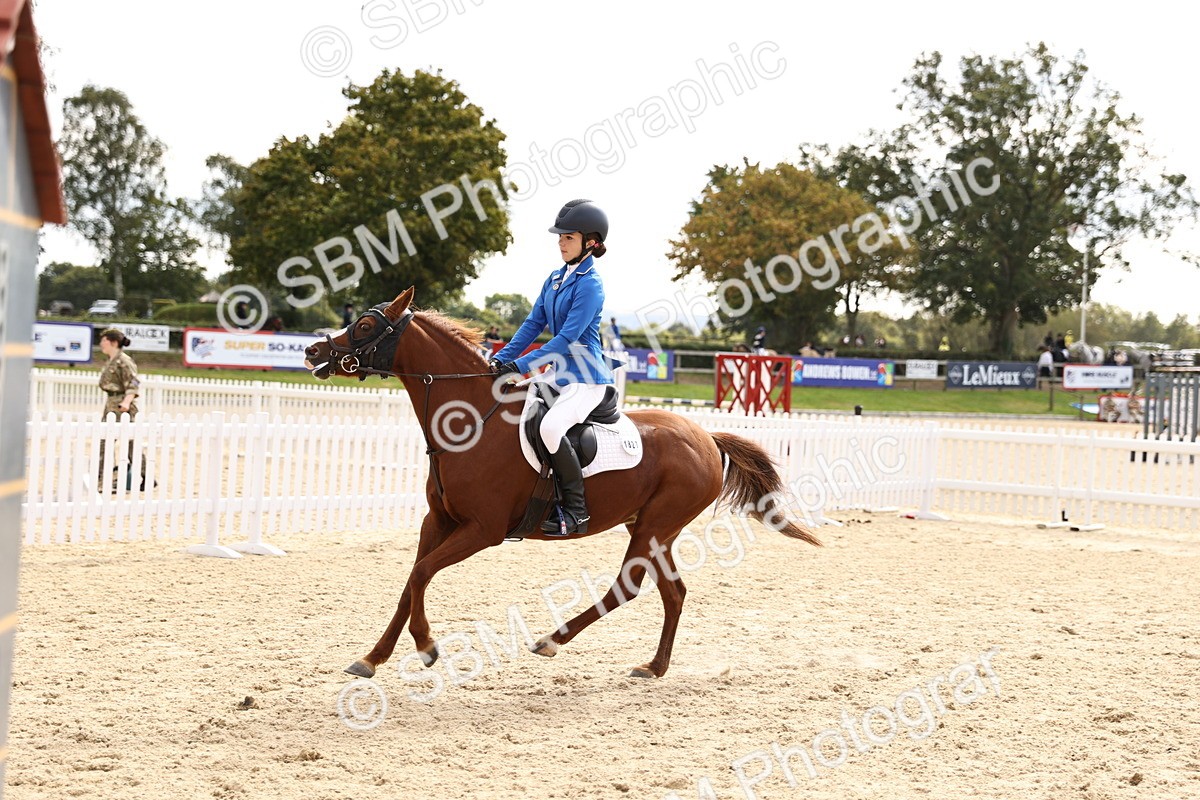 SBM_64050 - J12 - Junior Pony 55cm Championship