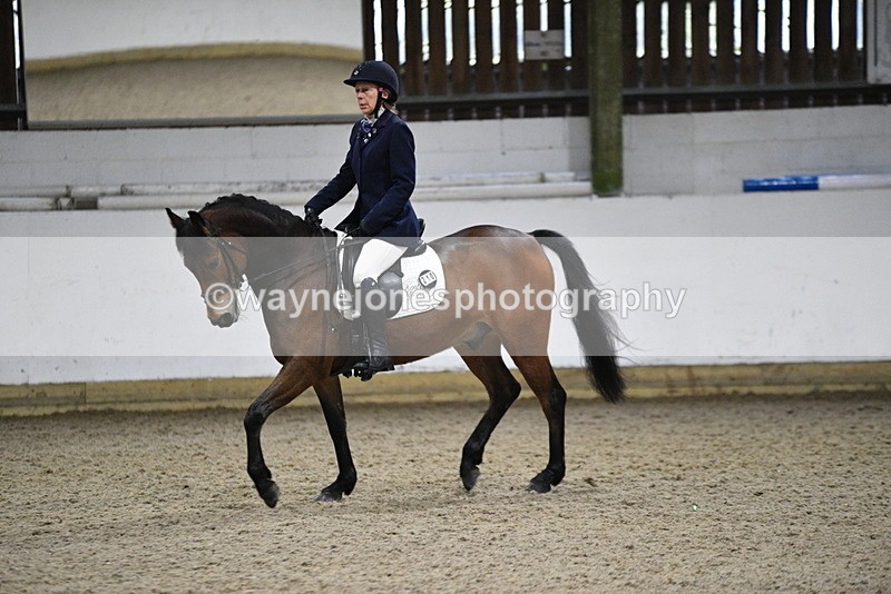 WJ5_8308 - Time 11:00 to 11:19