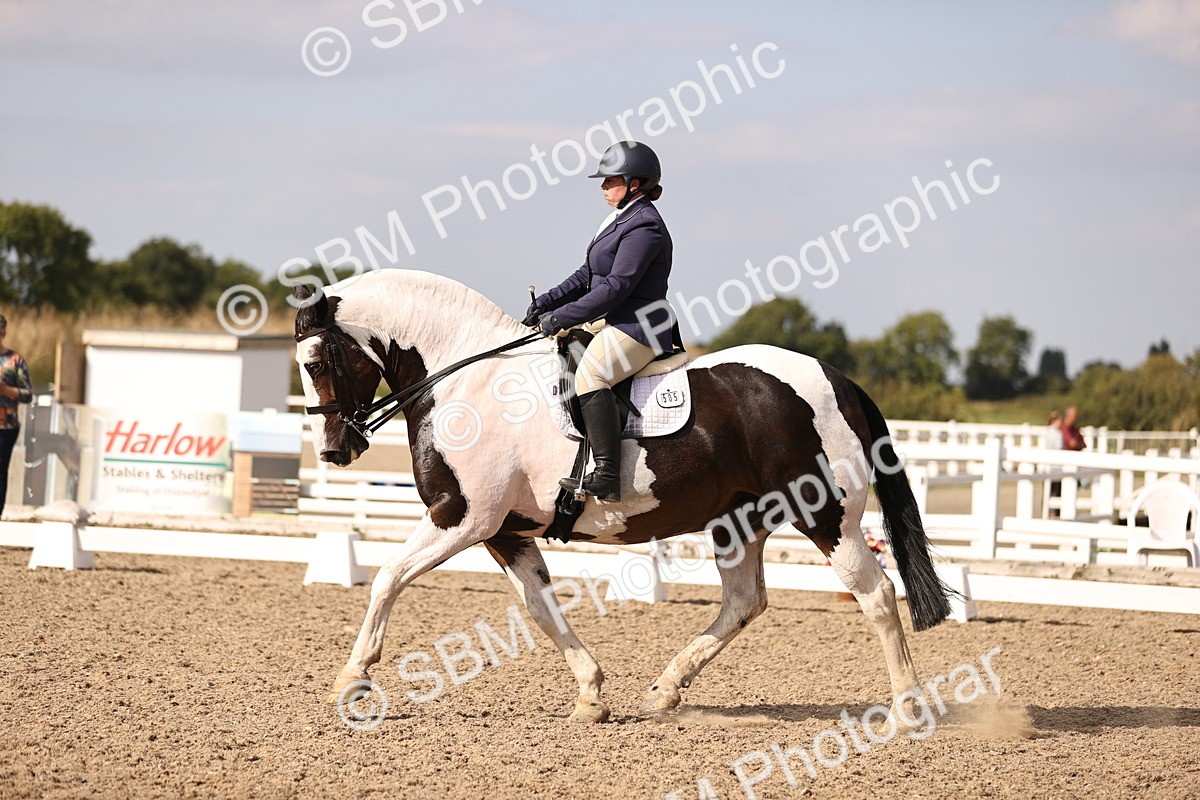 SBM_08102 - Class 39 Medium 3