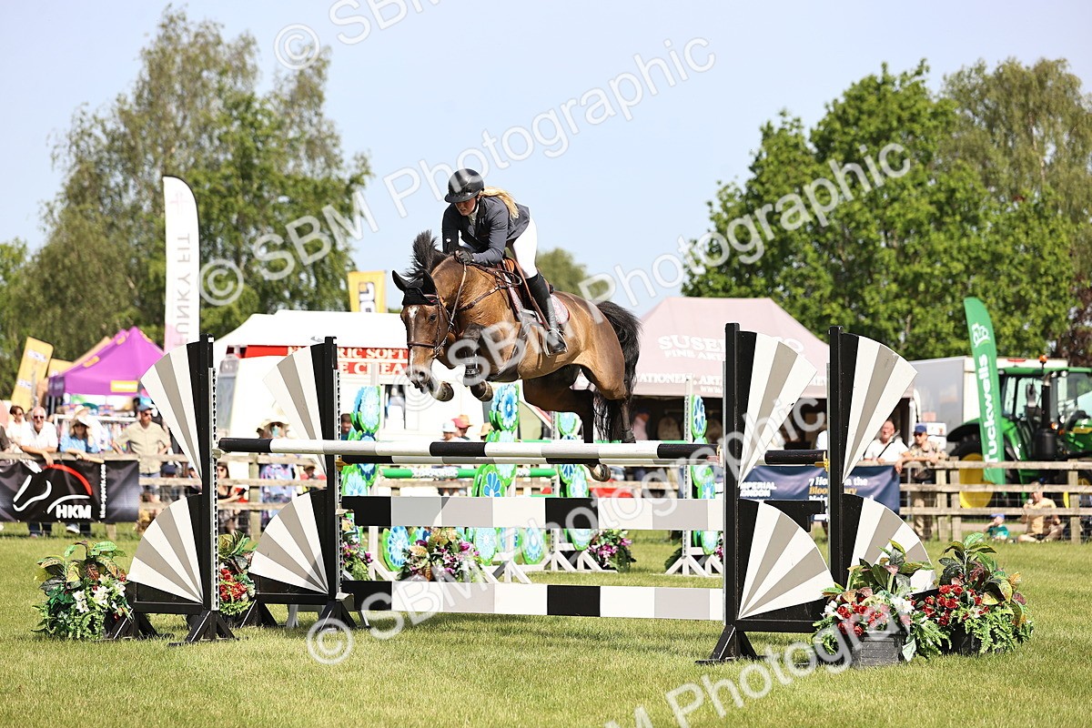 SBM_02948 - Class 201 - British Horse Feedds Speedi Beet HOYS Grade C