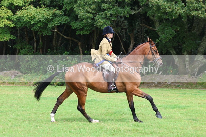 3E7A6217 - Working Hunter Championship