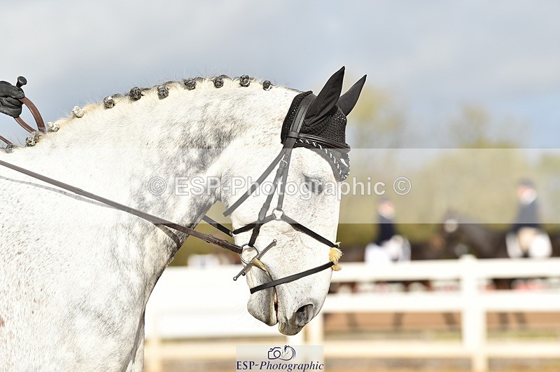 231104A-113452-01573 - Cls 5 Novice 37A