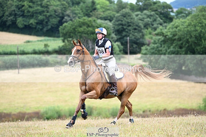 250803A-110216-10234 - L-508-Alison.Stewart-RICO.III