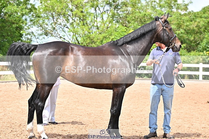 240718A-105320-01873 - Trot Up 1pm to 2pm