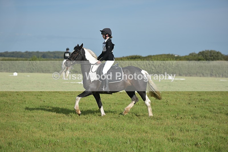 RAY_7605 - Class 2B: Trekenning Open: Dressage