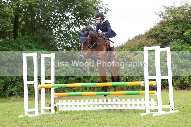 3E7A7146 - Class 5: Senior British Novice/90cm open