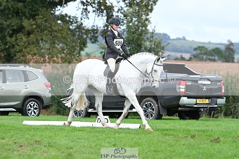 231020-155152-11291 - 509-WOODLANDS.SILVER.CLOUD-Karen.Cowling-DR