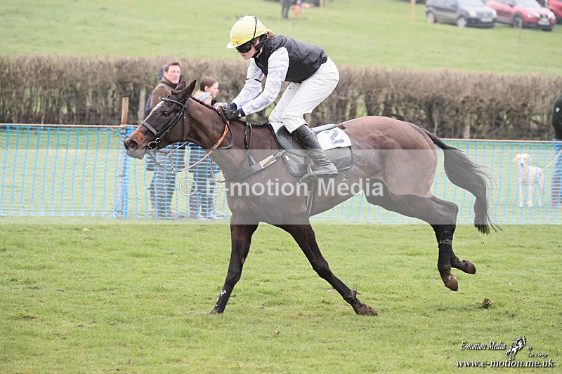 PR PtP 080326 213 - Guilsborough Pony Races 08/03/26