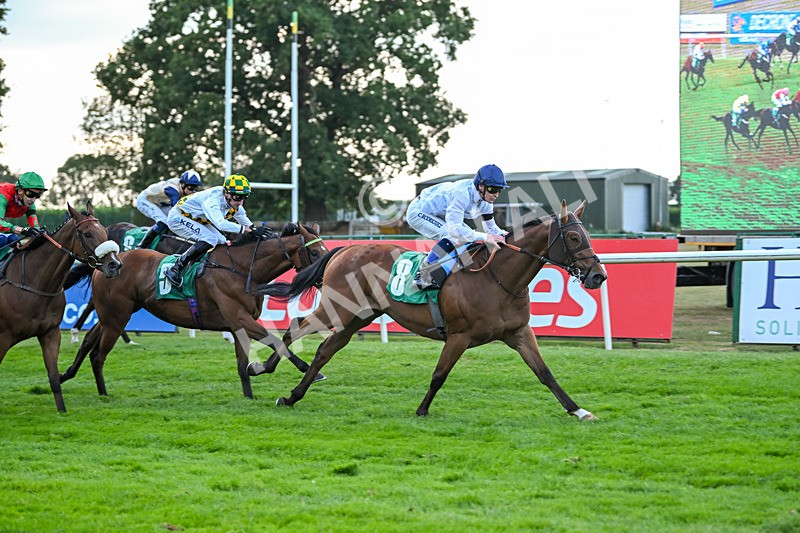 150825-Race 4-Fire Flame-2822 - Race 4