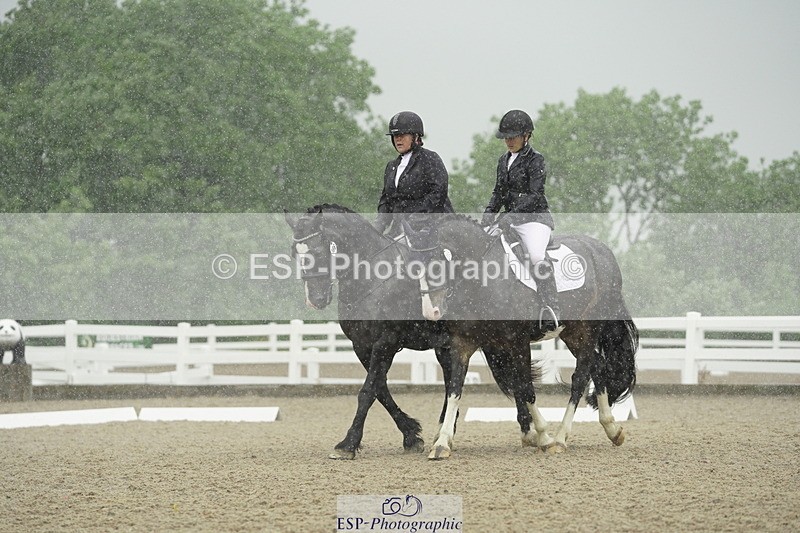 230708A-123232-00431 - BRC Pairs 5