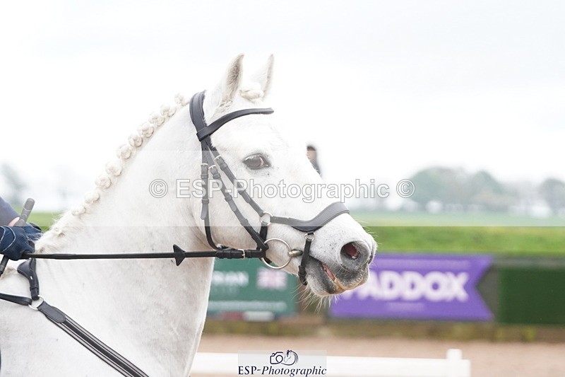 250419-103016-08365 - 510-Poppy.Murfin-SILVER.ECHO