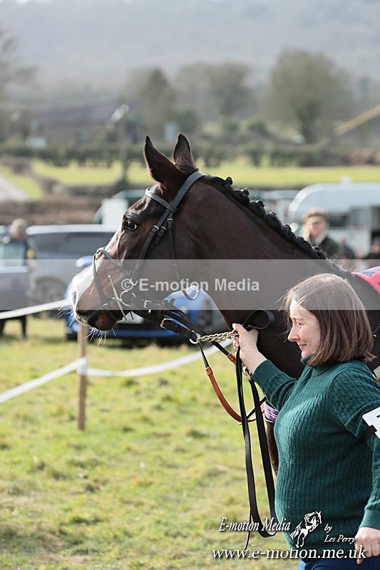PtP 220225 391 - Kimblewick Point-to-Point  Kingston Blount 22/02/25