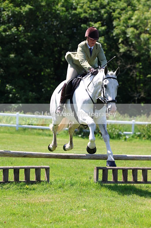 3E7A6903 - Class 30: Novice Working Hunter
