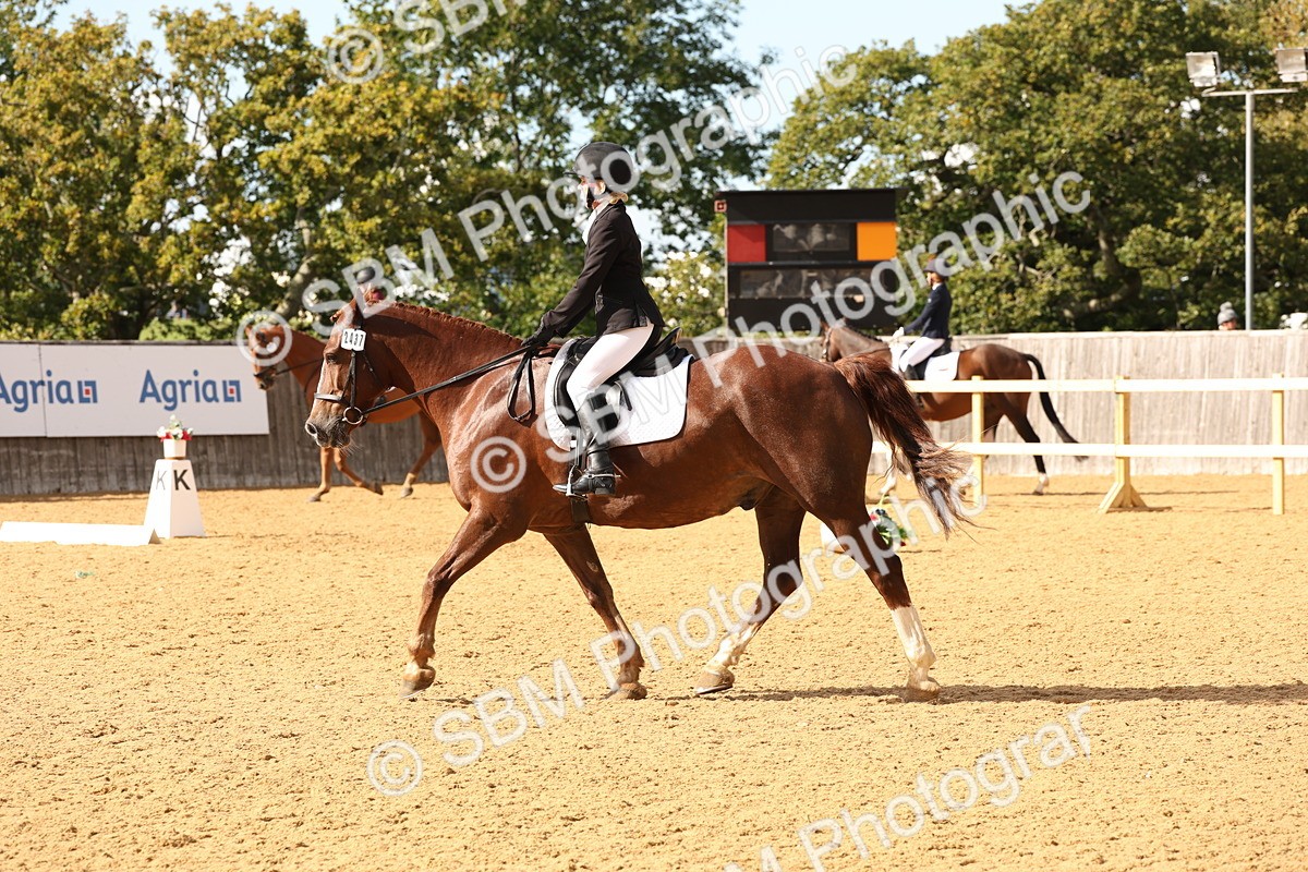 SBM_10596 - D9 - Small Tour Championship Prelim 3